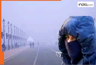 Weather Warning: Delhi feels near 0 degrees on coldest morning, red alert for cold wave in Punjab, Haryana, rain in South India — Check IMD forecast