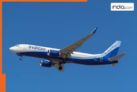 india.com top news