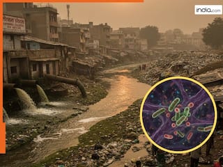 india.com top news