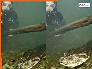 Viral Video Today: पानी में छलांग लगाते ही कांपने लगा गोताखोर, सामने आ गया 200 किलो का विशाल एनाकोंडा | देखिए