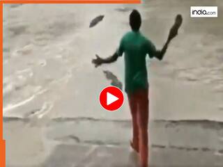 Magarmach Ka Video: पानी से निकलकर दबोचने आया मगरमच्छ, मगर महिला ने चप्पल से ऐसा धमकाया तुरंत भाग निकला