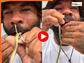 Sanp Ka Video: शख्स ने नाक में डालकर मुंह से निकाल दिया सांप, नजारा ऐसा आंखें फटी रह जाएंगे | देखें वीडियो