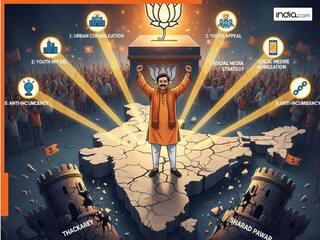 महाराष्ट्र में 'महायुति' पर क्यों आया 'मराठी मानुष' का दिल? न ठाकरे ब्रदर्स में दम दिखा, न बची पवार में पावर