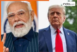 MEA slams Howard Lutnick's ‘Modi didn’t speak’ claim on India-US trade deal: 'PM, Trump spoke 8 times in 2025'