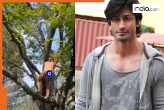 Vidyut Jammwal shocks the internet with bold tree-climbing video, explains ancient practice behind it - watch