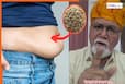 राजस्थानी वैद्य का गारंटीड देसी नुस्खा! 40 दिनों में बर्फ की तरह पिघलेगी पेट की जिद्दी चर्बी