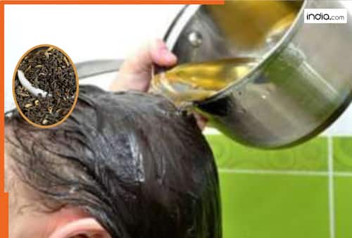 india.com top news