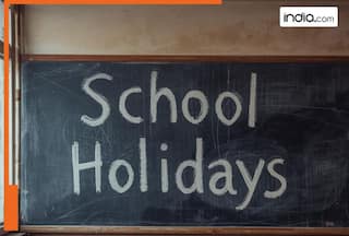Good news for students as THIS state announces school holidays until January 13 due to severe cold; check holiday schedule