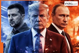 'Zelenskyy, Putin HATE each other': Donald Trump issues BIG statement on Russia-Ukraine peace deal