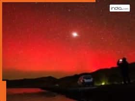 india.com top news