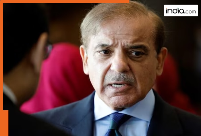 Shehbaz Sharif in big trouble as US plans to target Pakistan's Copper Reserves, strategy of Asim Munir faces test as...