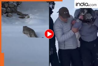 Leopard Viral Video: फोटो लेने गई महिला पर तेंदुए का जानलेवा हमला, वीडियो देख थम जाएंगी सांसें