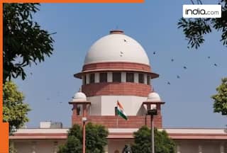 Stray Dogs Case Highlights HEARING: Proceedings ended, Bench to meet again on January 20