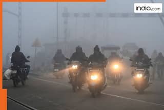IMD Weather update today: Cold wave conditions likely to continue in Himachal Pradesh, Haryana; Delhi-NCR to remain partly cloudy till…, heavy rainfall...