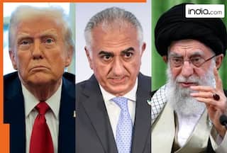 'Be prepared to intervene...': Amid Iran crisis, exiled Iranian Crown Prince Reza Pahlavi makes urgent appeal to Donald Trump