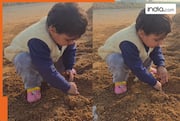 Little girl's innocence to grow 'toffee tree' wins hearts, watch viral video