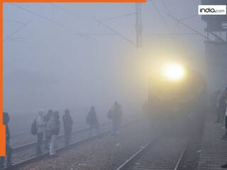 कोहरे ने रोकी रफ्तार! 20 से ज्यादा ट्रेनें कैंसिल, यात्रा से पहले चेक करें लिस्ट