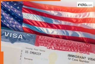 Visa major update: US to suspend immigrant visa processing for 75 countries, Pakistan, Bangladesh in list - Check full list