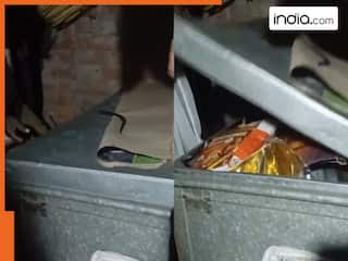 Couple Viral Video: प्रेमी को संदूक में छिपाया फिर ताला लगाकर भोली बनने लगी प्रेमिका, घरवालों ने देखा तो आंखें ही फटी रह गईं