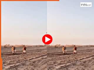 Wild Animal Video: सांड को डंडा मारकर फंस गया शख्स, फिर ऐसी टक्कर पड़ी फिर उठ ही नहीं पाया बेचारा | देखें वीडियो