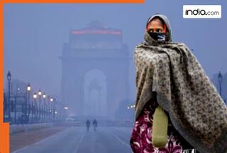 Weather WARNING: Cold wave alert in Delhi, Punjab, Haryana and…, rain alert in…, snow across J&K, Himachal - check IMD forecast