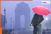 Weather Warning: Rain in Delhi today? Max temperature falls by 11 degrees, cold wave returns in Punjab, Haryana, Rajasthan, snowfall in hilly regions – check IMD forecast