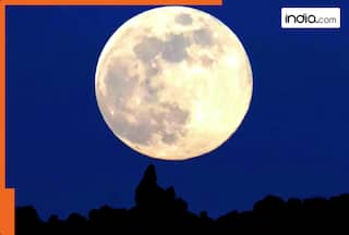 Wolf SUPERMOON 2026: Check which cities in India will see it first