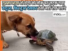 Viral Video Today: गुस्सा आया तो डॉगी की जीभ पर लटक गया कछुआ, फिर जो हुआ देखकर हंसी नहीं रोक पाएंगे | देखें वीडियो