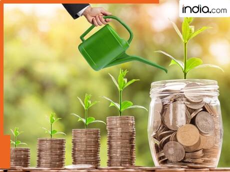 लॉन्ग टर्म के लिए लगाया पैसा तो ये 5 स्कीम बना देंगे करोड़पति,समझिए रिटर्न का पूरा फंडा