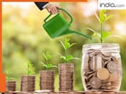 मार्केट की इस स्कीम में किया इंवेस्ट तो डबल हो जाएगा पैसा, लाइफटाइम मिलता रहेगा इंश्योरेंस बेनिफिट, चेक करें डिटेल