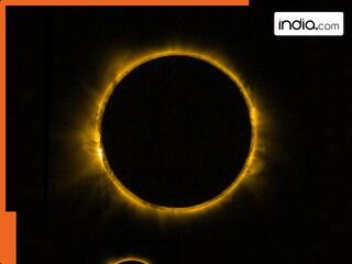 india.com top news
