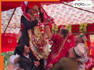 Shadi Ka Video: जयमाला में दूल्हे को गोद में ऐसा उठाया, टेंट से ही बाहर निकल गया बेचारे का सिर | देखें फनी वीडियो