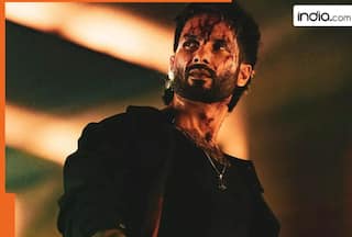 O’ Romeo Box Office Collection Day 5: Shahid Kapoor, Tripti Dimri starrer witnesses weekday dip after strong opening, earns Rs…