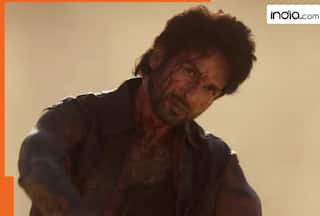 O’ Romeo Box Office Collection Day 6: Shahid Kapoor, Triptii Dimri starrer crosses Rs 40 crore mark despite midweek dip, earns Rs…