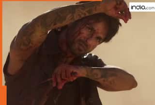 O’ Romeo Box Office Collection Day 10: Shahid Kapoor starrer sees weekend push; crosses Rs 55 crore mark in India, earns Rs…