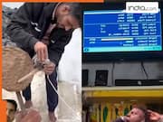 Funny Video: गाय के गोबर से बनाई सैटेलाइट डिश, स्विच ऑन किया और चला गया टीवी | देखें वीडियो