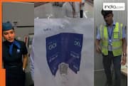 IndiGo traveller’s giant boarding pass at Goa airport takes internet by storm; netizens ask... | Watch viral videos