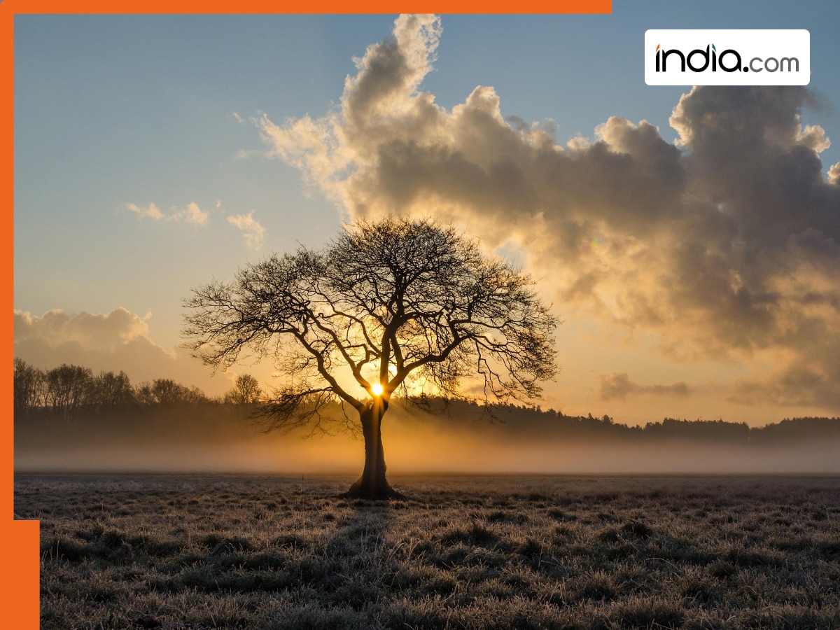 गजब हैं दुनिया के ये देश! यहां नहीं पाएं जाते हैं एक भी पेड़, नाम जान चौंक जाएंगे आप