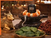 Mahashivratri 2026: महशिवरात्रि पर बन रहा है अद्भुत योग! इस दिन घर ले आएं ये 5 चीजें, शिवजी की कृपा से घर में आएगी सुख-समृद्धि
