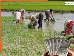 लाखों किसानों को नहीं मिलेगी PM किसान की अगली किस्त! लिस्ट में यूपी के 10 लाख से ज्यादा किसान, चेक करें अपना नाम