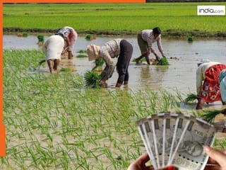 लाखों किसानों को नहीं मिलेगी PM किसान की अगली किस्त! लिस्ट में यूपी के 10 लाख से ज्यादा किसान, चेक करें अपना नाम