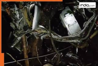 Watch video: Medical chartered plane travelling to Delhi crashes near Ranchi