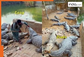 india.com top news