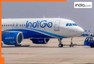 IndiGo plane with 210 passengers makes safe landing following landing gear malfunction