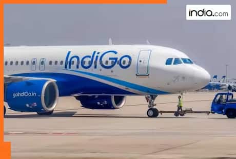 IndiGo plane with 210 passengers makes safe landing following landing gear malfunction