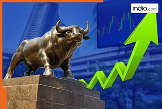 Sensex goes up by 200 points to trade at 84,300; Nifty gains 50 points
