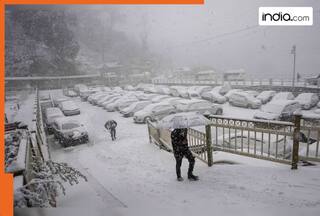 Weather News: Rajasthan hit by rain, hailstones, orange alert for dense fog in Uttar Pradesh and Delhi