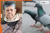 Feeding pigeons in Singapore costs Indian woman Rs 2.5 lakh
