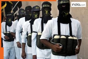 india.com top news