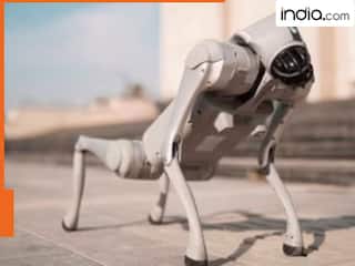 क्या है चीन का रोबोट विवाद? जिसे लेकर गलगोटिया यूनिवर्सिटी ने करा ली अपनी इंटरनेशनल बेइज्जती